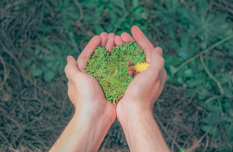 Dia do Meio Ambiente na Educação Infantil: Práticas Sustentáveis na Escola
